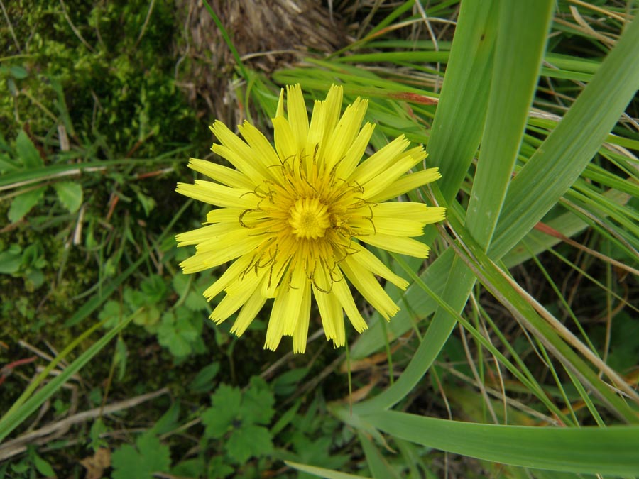 Kagbhushandi Tal