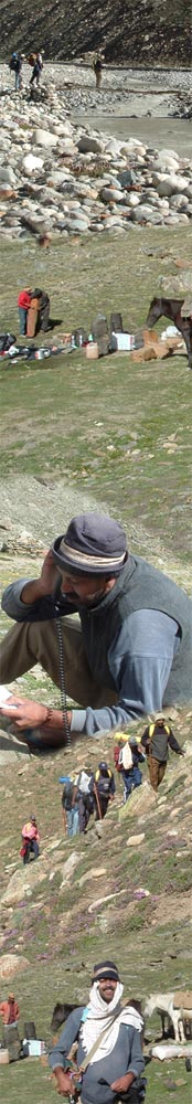 Darcha to Padum trek