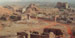 Delhi-Tughlugabad Fort