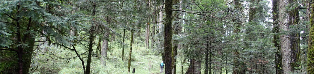 GHNP Eco Zone Trek Photo