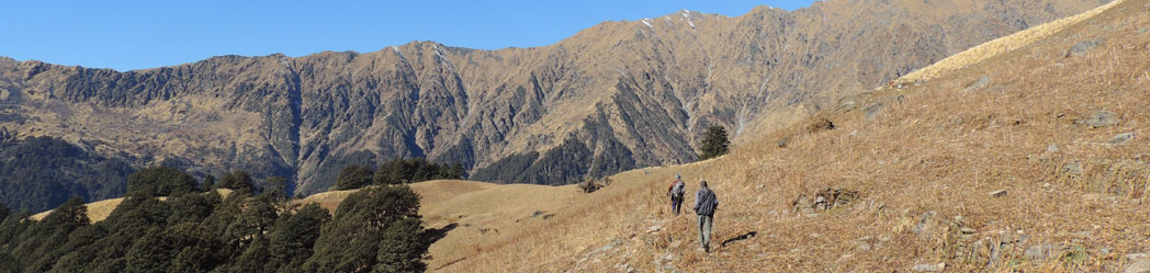 Dhamshila Trek Photo