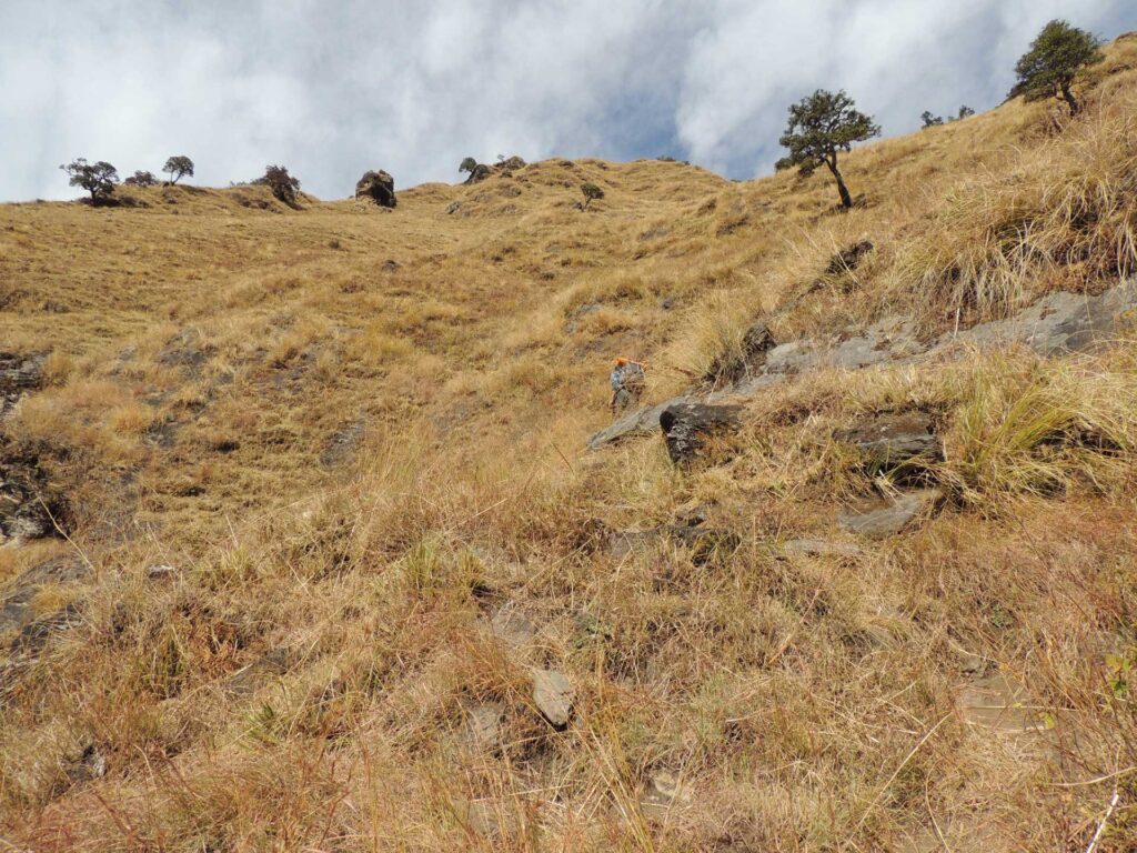 Dhamshila Trek Photo