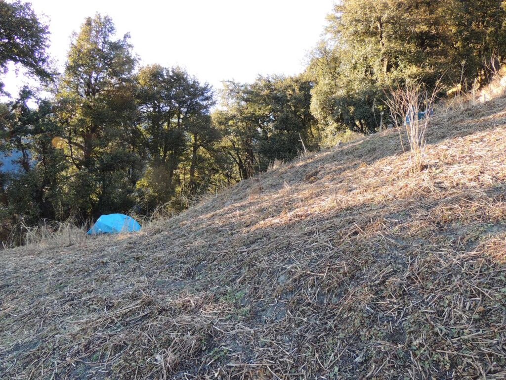 Dhamshila Trek Photo