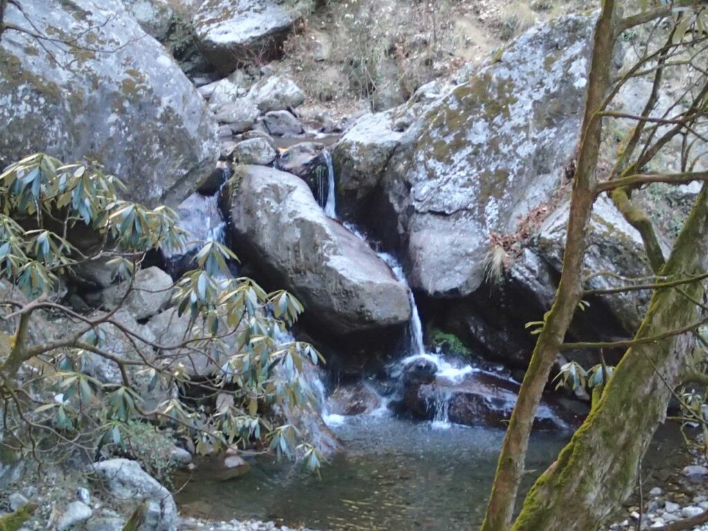 Dhamshila Trek Photo