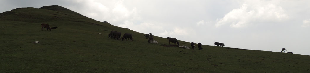 GHNP Eco Zone Trek Photo