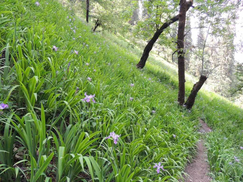 GHNP Eco Zone Trek Photo