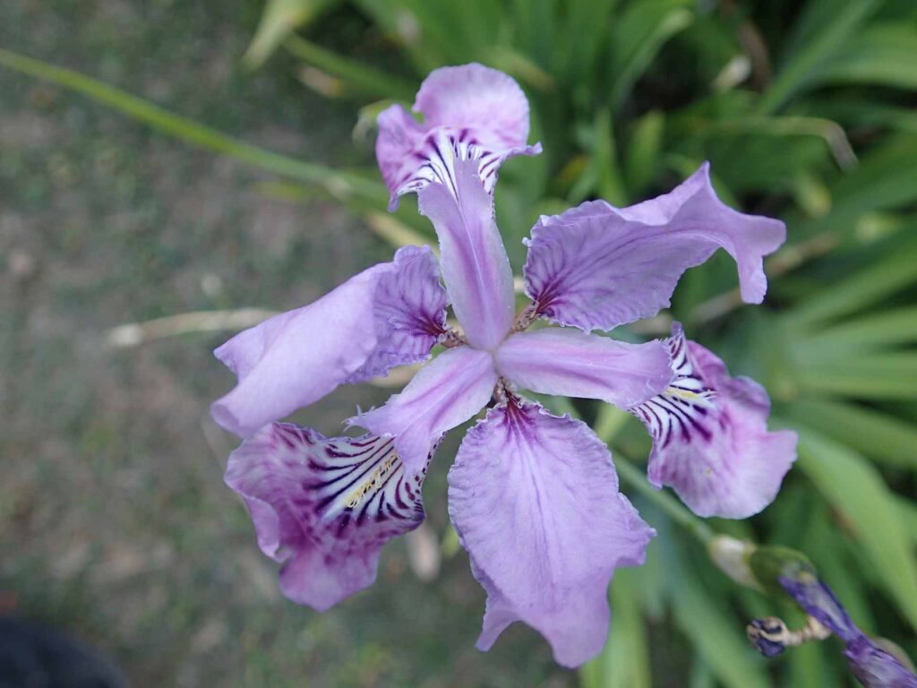 GHNP Eco Zone Trek Photo