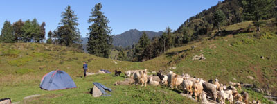 GHNP Eco Zone Trek Photo