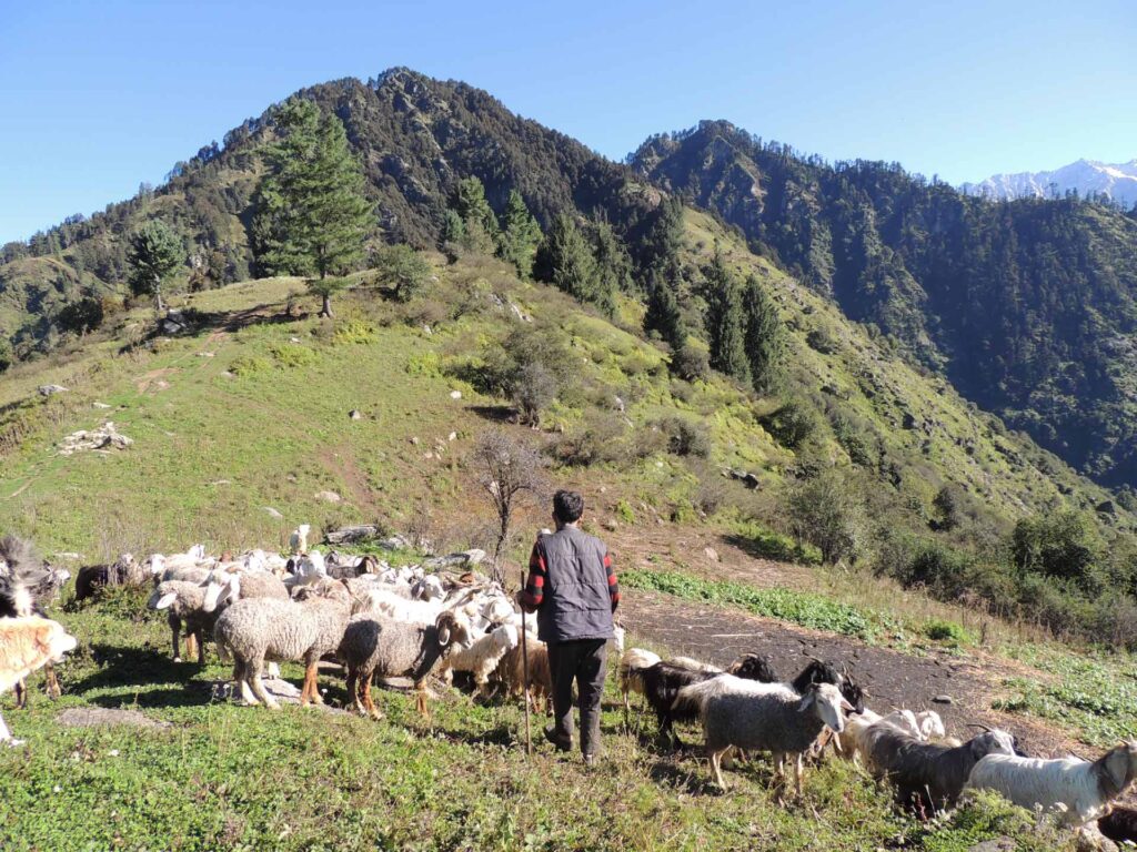 GHNP Eco Zone Trek Photo