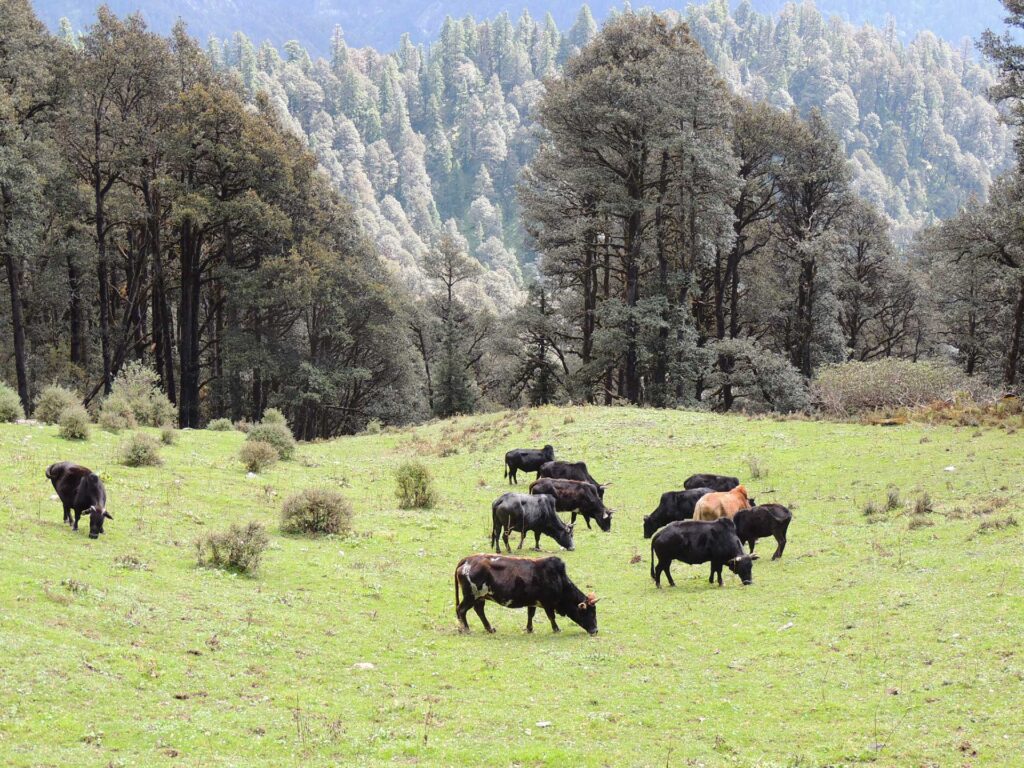 GHNP Eco Zone Trek Photo