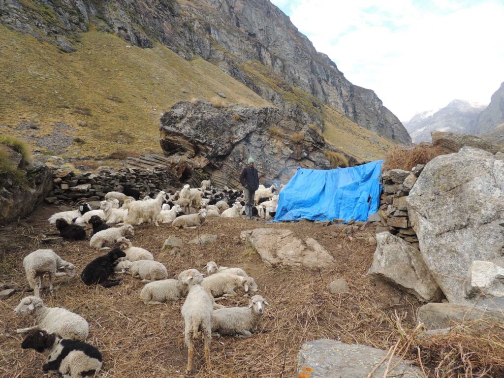 Garhwal Himalaya Trek Photo