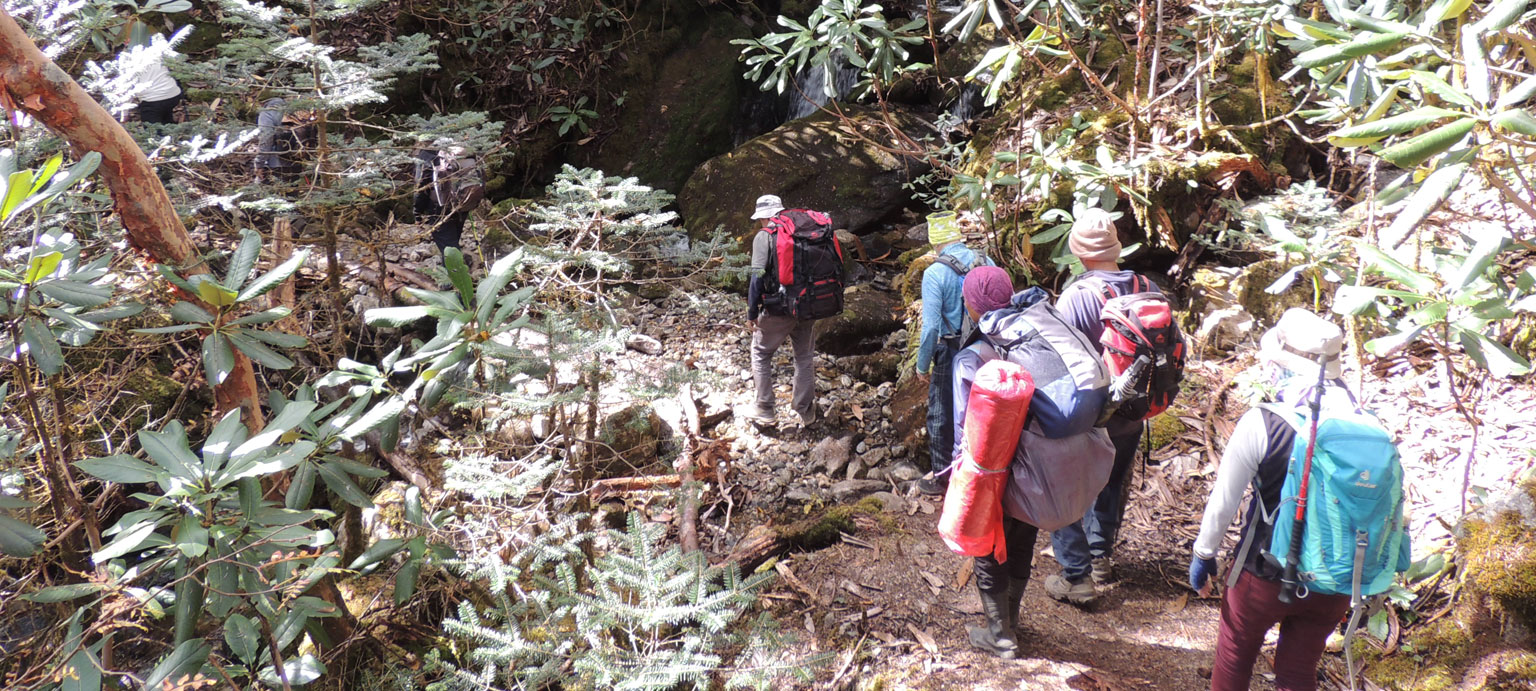 Himalaya Trek Photo