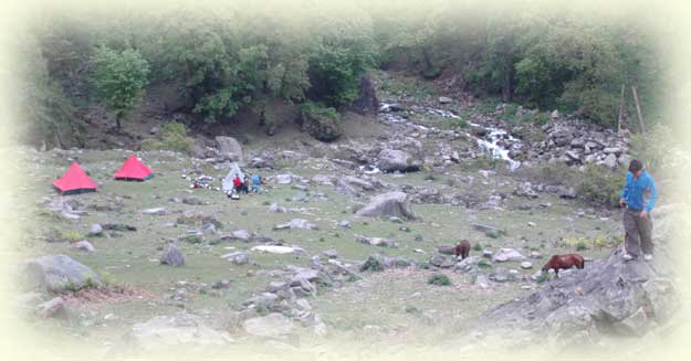 Camping in Himalaya Photo