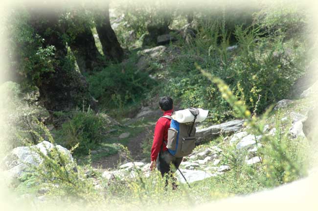 Camping in Himalaya Photo