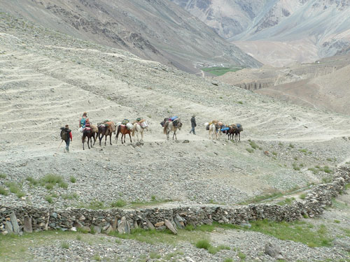 Ladakh Trek Photo