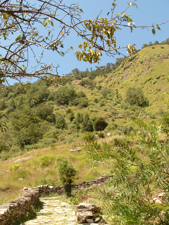 Garhwal Himalaya Trek Photo