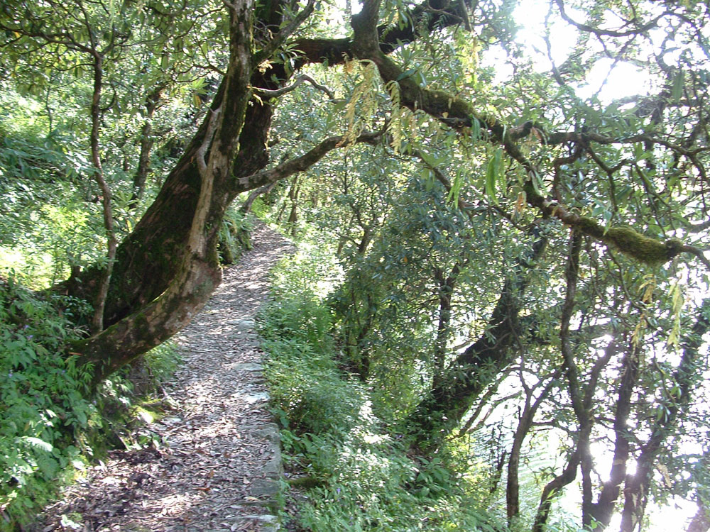 Garhwal Himalaya Trek Photo