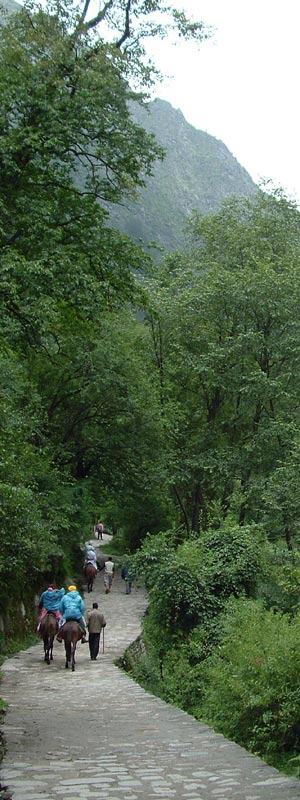 Garhwal Himalaya Trek Photo