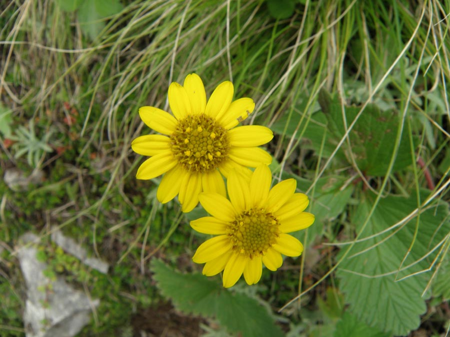 Garhwal Himalaya Trek Photo