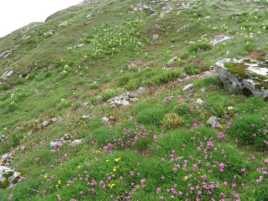 Garhwal Himalaya Trek Photo