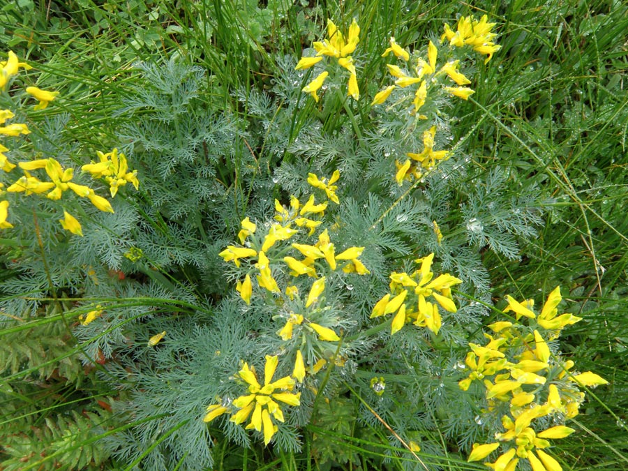 Garhwal Himalaya Trek Photo