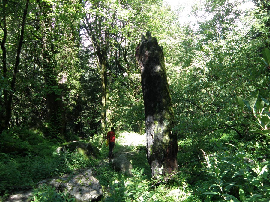 Garhwal Himalaya Trek Photo