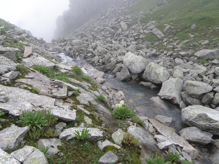 Garhwal Himalaya Trek Photo