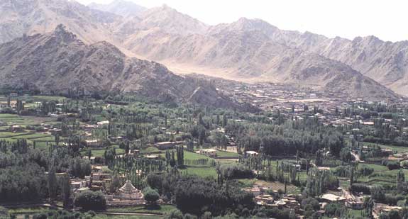 Ladakh Trek Photo