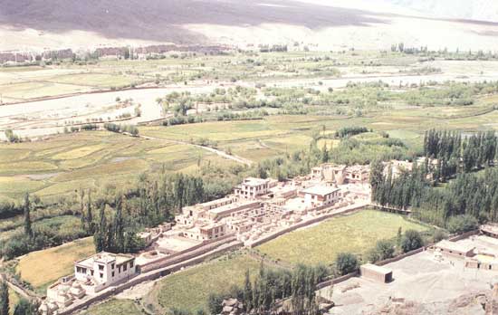 Ladakh Trek Photo