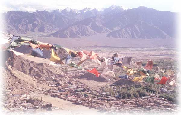 Ladakh Trek Photo