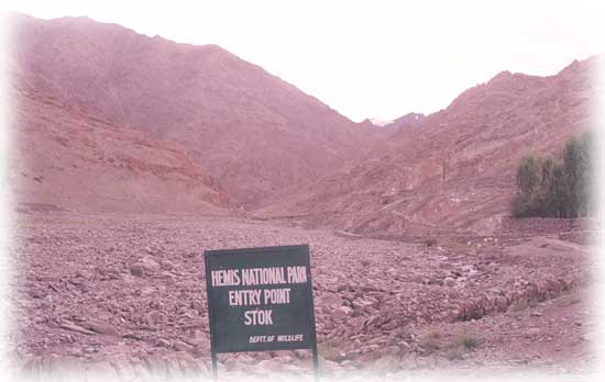 Ladakh Trek Photo