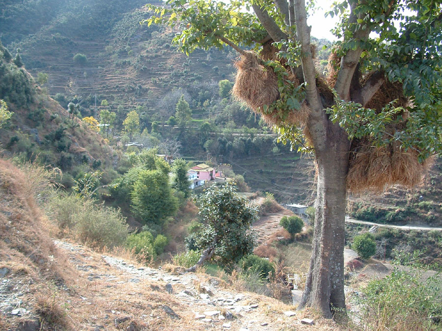 Garhwal Himalaya Trek Photo