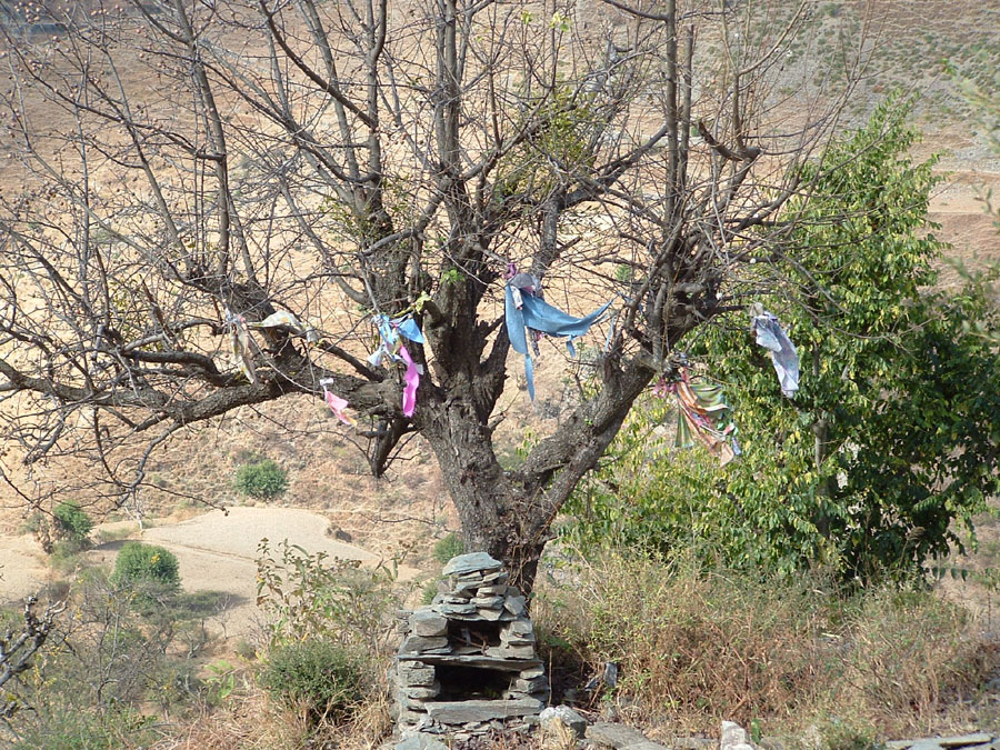 Garhwal Himalaya Trek Photo