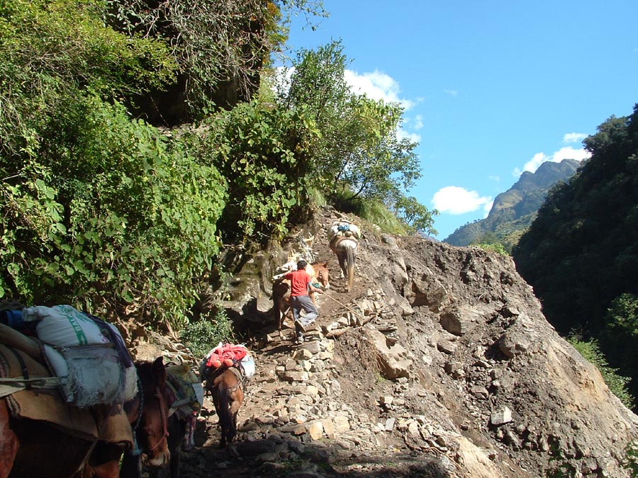 Kumaon Himalaya Trek Photo