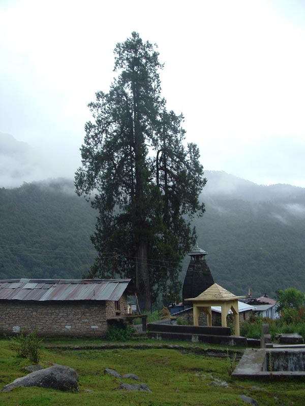 Garhwal Himalaya Trek Photo