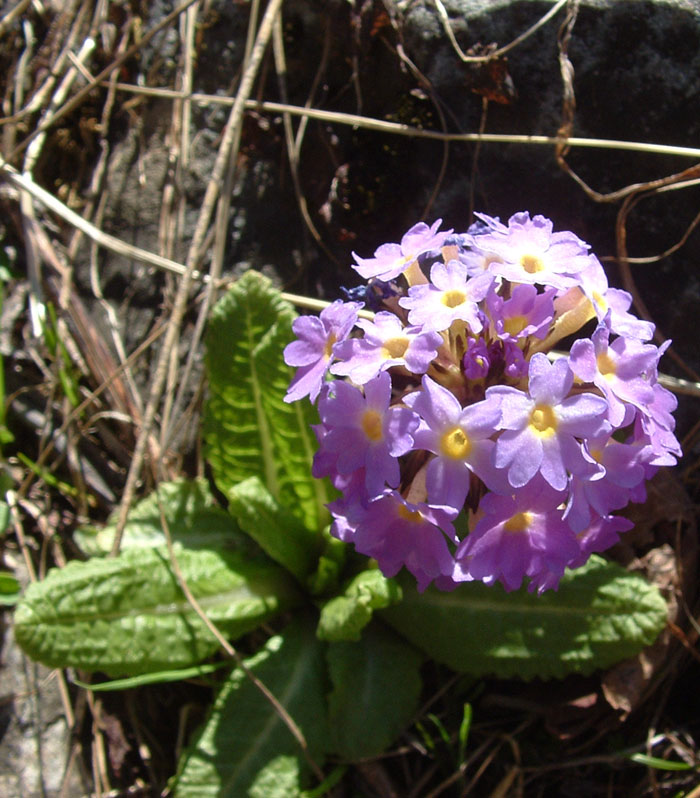 GHNP Trek Photo