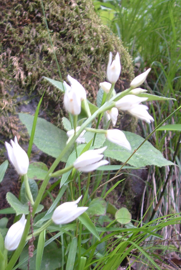 GHNP Trek Photo