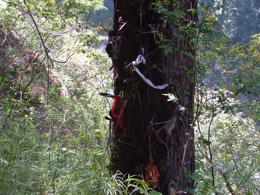 GHNP Trek Photo