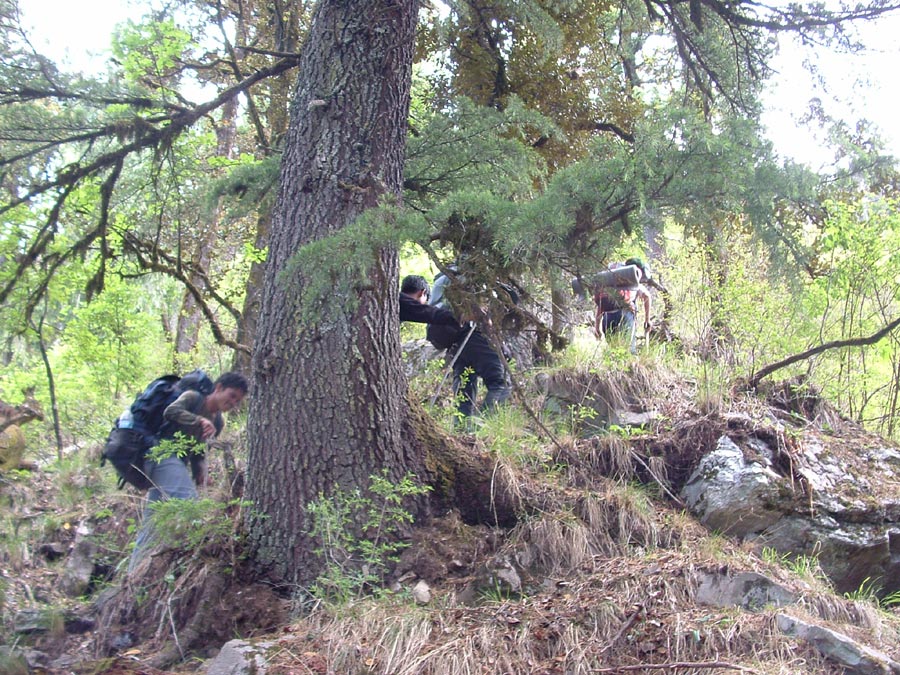 GHNP Trek Photo