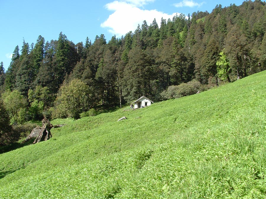 GHNP Trek Photo