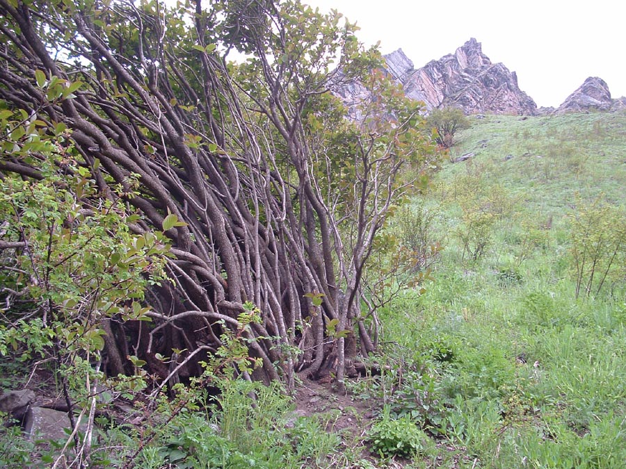 GHNP Trek Photo