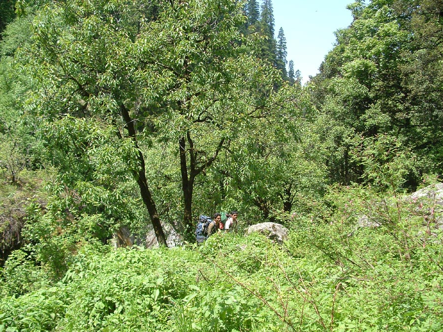 GHNP Trek Photo