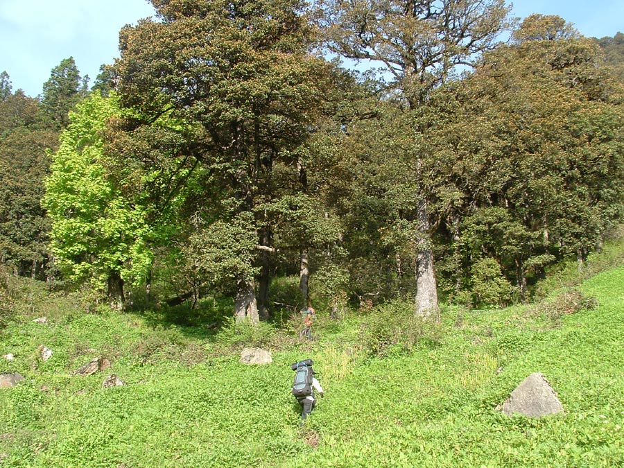 GHNP Trek Photo