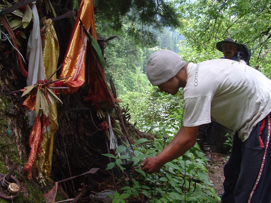 GHNP Trek Photo