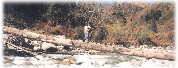 Garhwal Himalaya Trek Photo