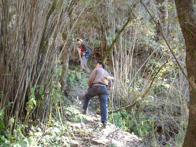 GHNP Trek Photo