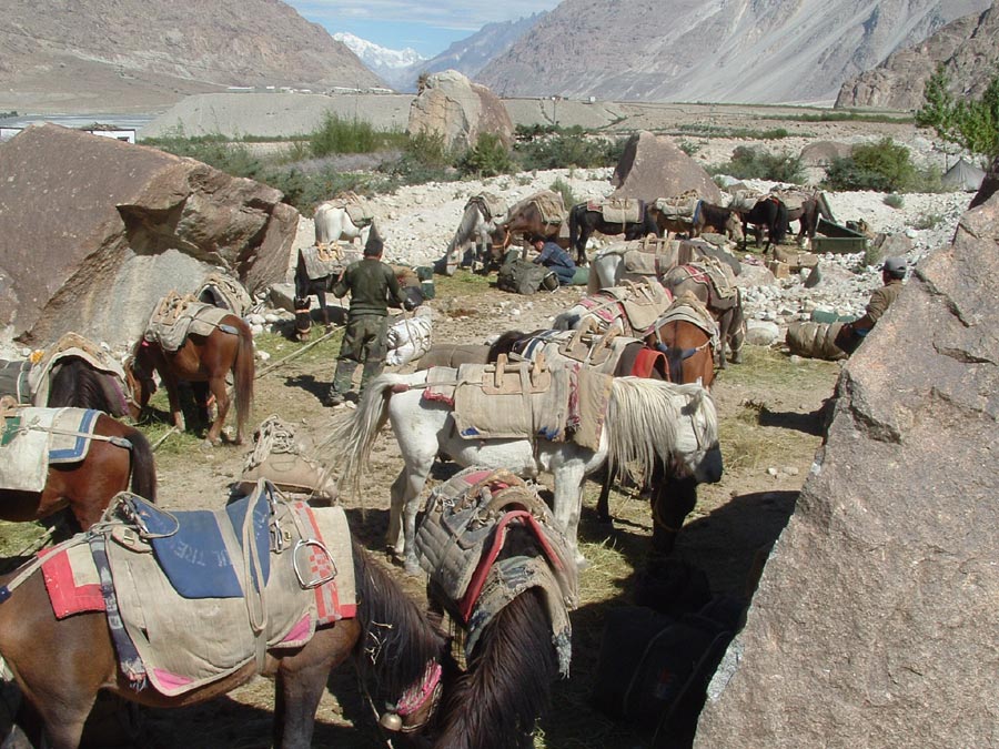 Ladakh Trek Photo