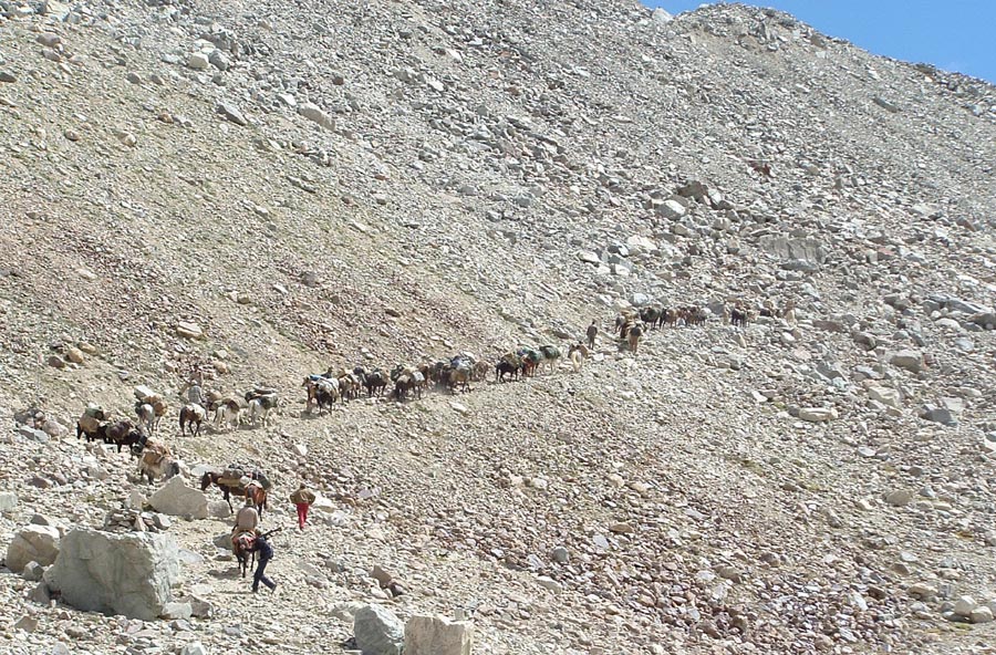 Ladakh Trek Photo