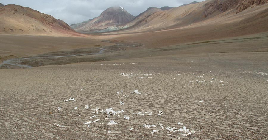 Ladakh Trek Photo