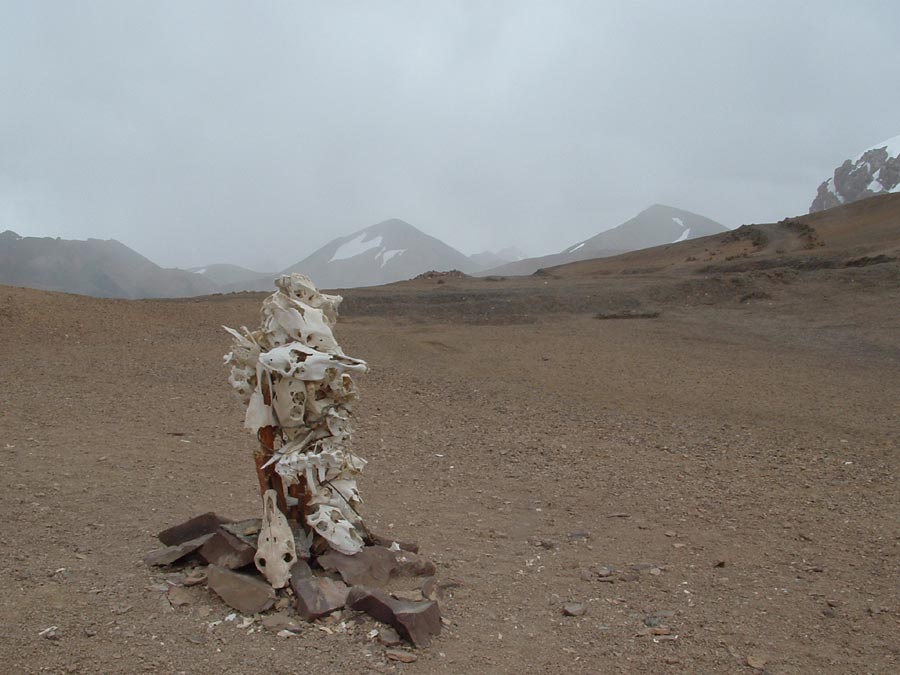 Ladakh Trek Photo